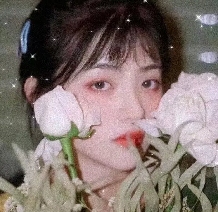 危机边缘第五季